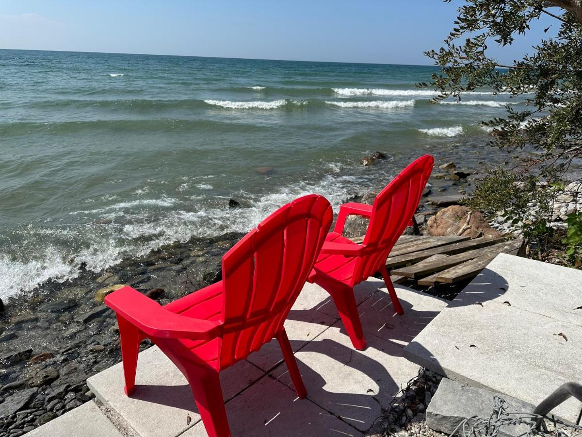 The Wind In The Willows - Luxury Lakefront Oasis Bed & Breakfast Cobourg Exterior foto