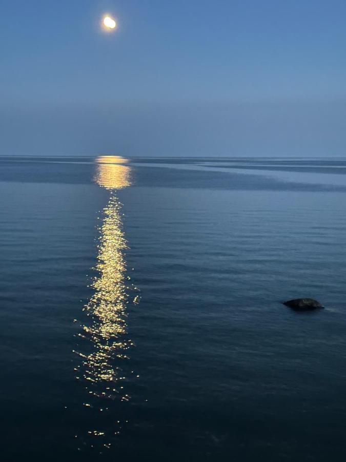 The Wind In The Willows - Luxury Lakefront Oasis Bed & Breakfast Cobourg Exterior foto